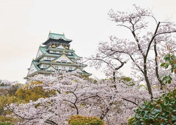 2023년 오사카  벚꽃놀이 여행을 위한 간사이 벚꽃 여행 숨겨진 명소 8곳 정리!